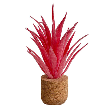 Mini Plant Face Fragrance Accessories